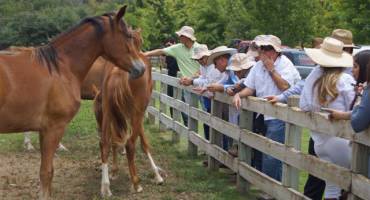 We Can Help Find a Location that’s Right for You