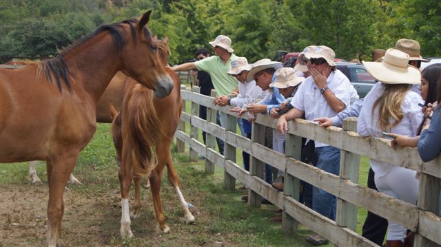 We Can Help Find a Location that’s Right for You